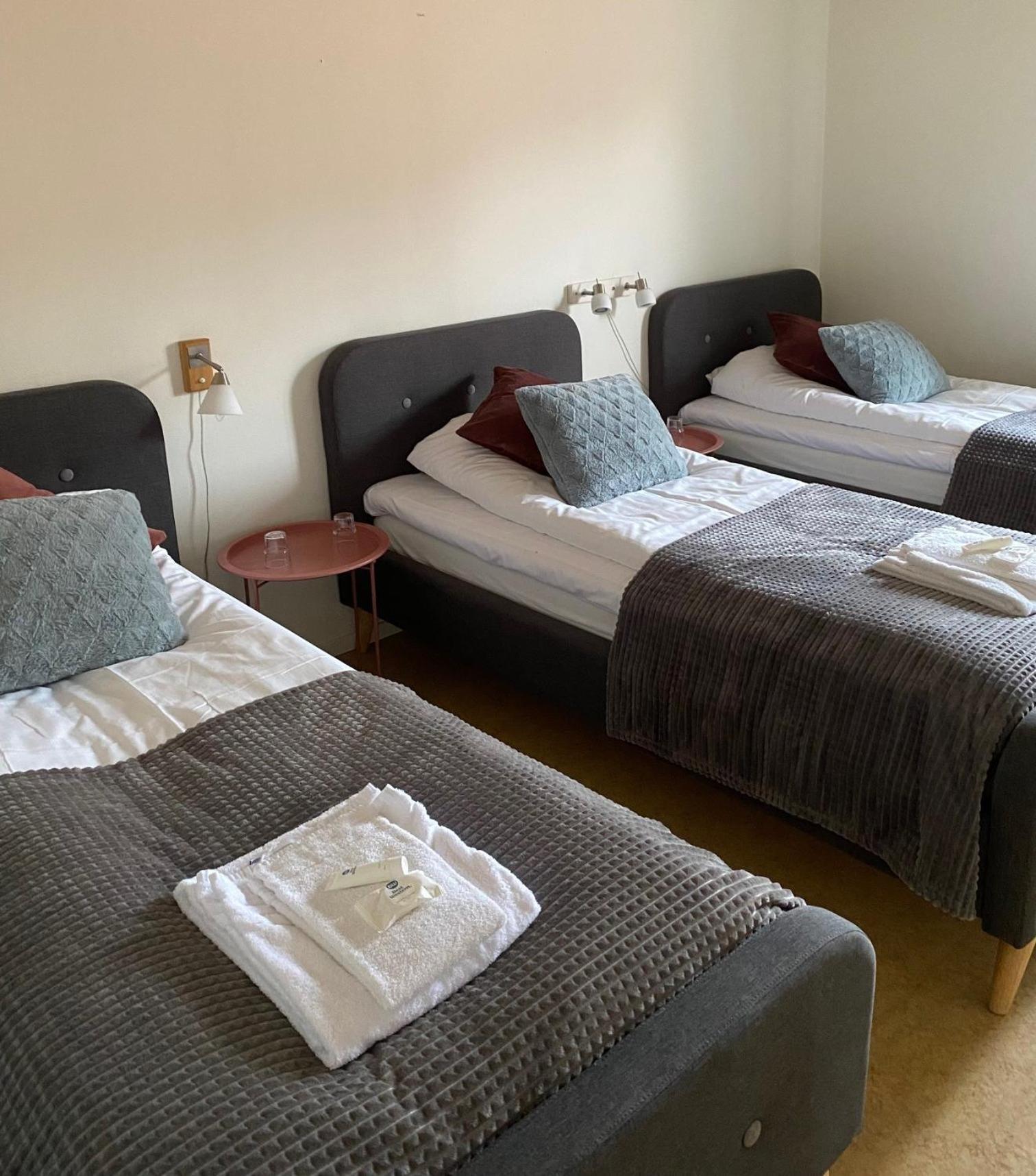 Snoea Bruk Hotell Och Konferens Dala-Jarna Luaran gambar